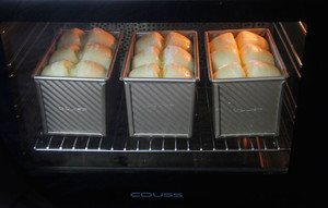 皇冠吐司-卡士CO-960m 制作方法