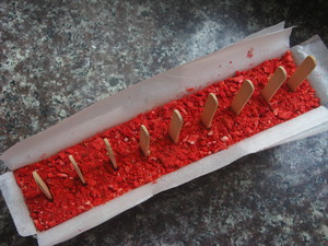 芝士雪糕（雪糕其实还能这么做~） 制作方法