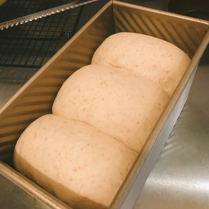 全麦吐司(适合做三明治) 制作方法