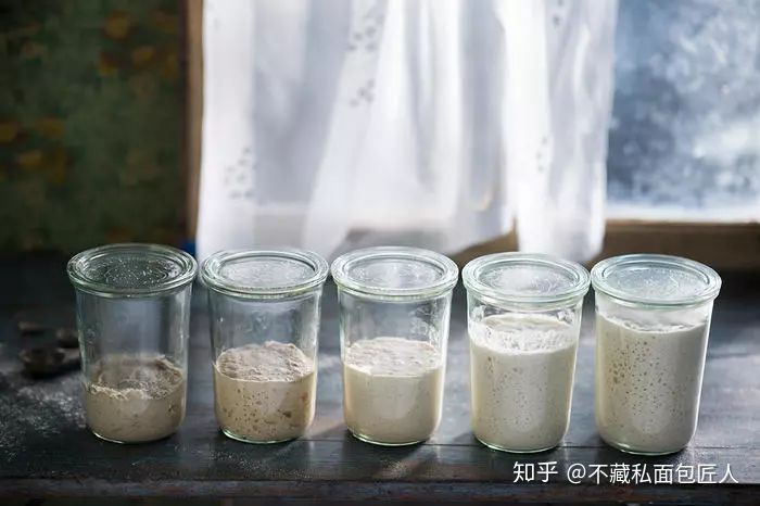 自制酵素的做法,关于自制酵种的10个必备的理论知识!