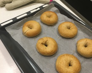 蜂蜜全麥貝果  制作方法