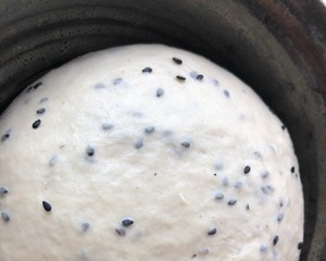 天然酵种吐司 制作方法