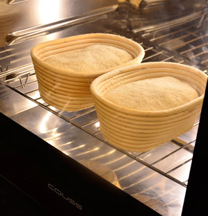 黑麦乡村面包 制作方法