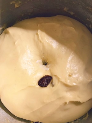 葡萄干吐司（泡面法）  制作方法