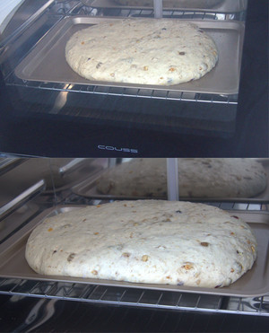 燕麦核桃软欧包 制作方法