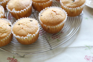 葡萄干巧克力豆玛芬蛋糕（6连玛芬蛋糕模） 制作方法