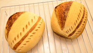 黑麦乡村面包 制作方法