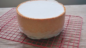 分蛋海绵蛋糕(北鼎食谱)  制作方法