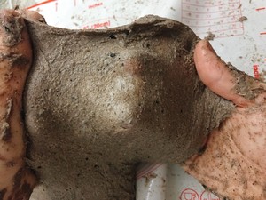 自制100%黑麦全麦吐司(无糖无油无蛋无奶无面包机)揉出手膜版