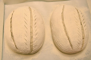 黑麦乡村面包 制作方法