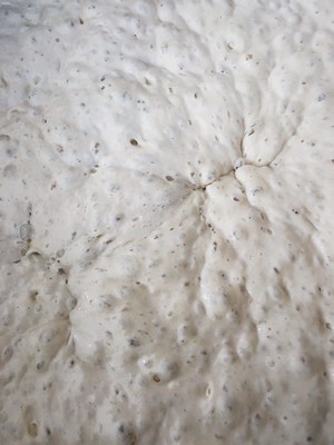 养身椰子油芝麻枸杞软欧  制作方法