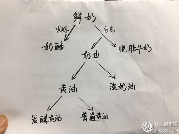 如何选择黄油？黄油知识大扫盲以及选购小贴士