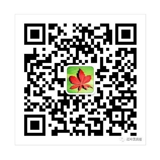 【葡萄干奶酥辫子面包的做法步骤图】红叶99-制作