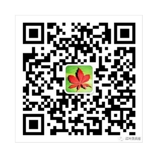 【豆沙面包圈的做法步骤图，豆沙面包圈怎么做好吃】红叶99-制作