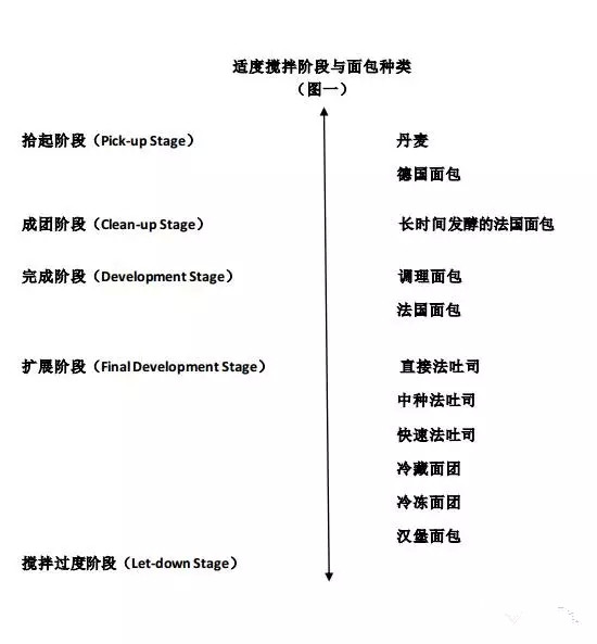 新手面包搅拌教程，面团搅拌（上）
