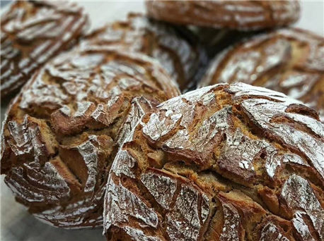 酵母发酵时间？酵母无氧发酵与有氧发酵作用的解析