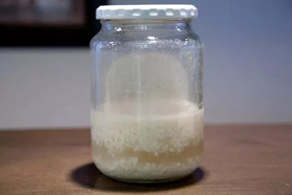 新手如何面包 区分汤种、中种、初种?这2点易忽略!