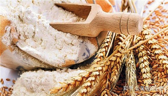 低筋面粉、中筋面粉、高筋面粉有什么不一样