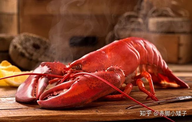 成都七中食堂再次撕开餐饮的遮羞布,餐饮行业还有哪些你不知道的秘密