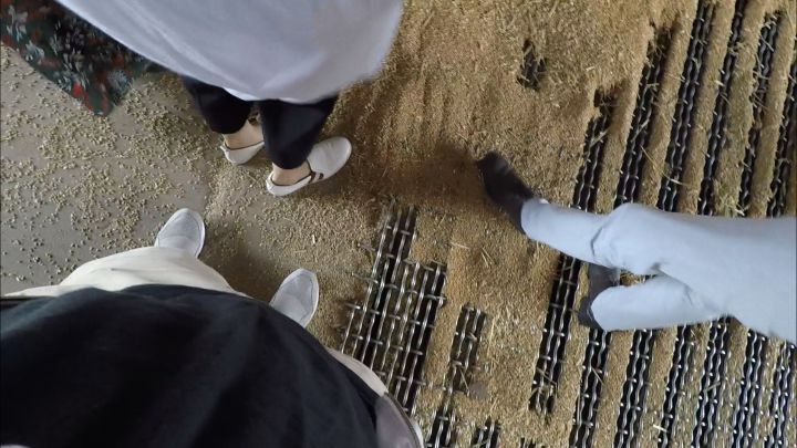 从小麦到面粉,好的面包师到最后,都会去种田.....
