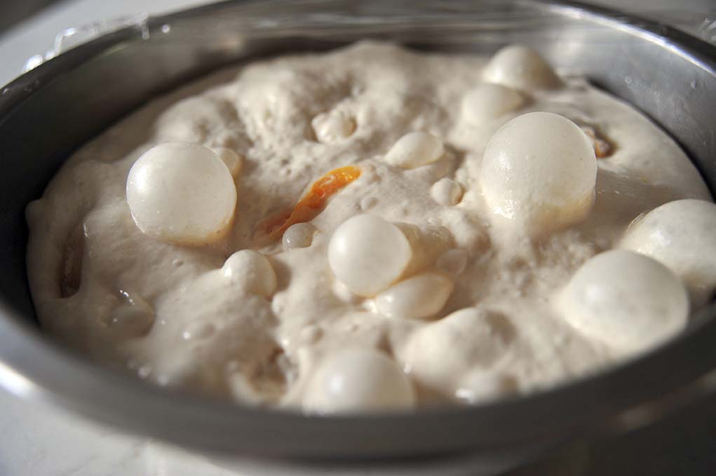 认识面团(中种法)的发酵与不同，中种法面包制作过程？