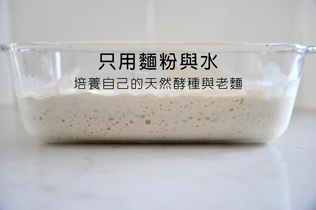 认识面团(中种法)的发酵与不同，中种法面包制作过程？