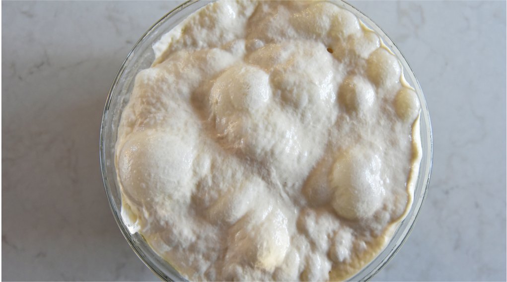 从食物里的气体谈到面包发酵,面包发酵不起来是什么原因?