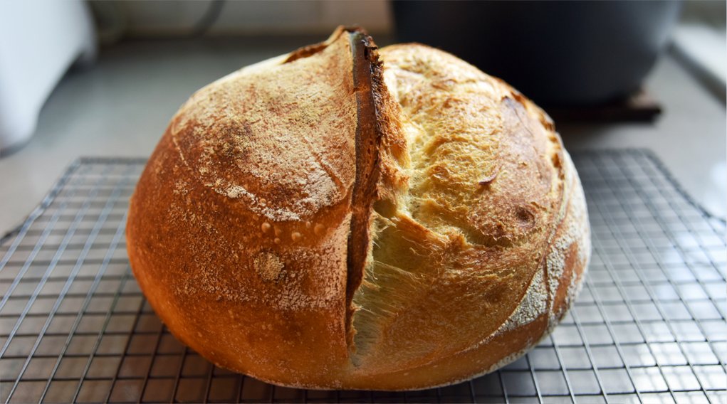 为何酵母不能冻藏的科学原因