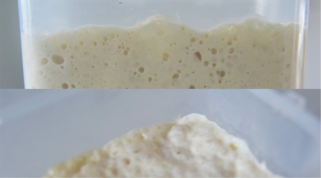 如何以速发酵母制作液种酵头，发酵母粉使用方法？