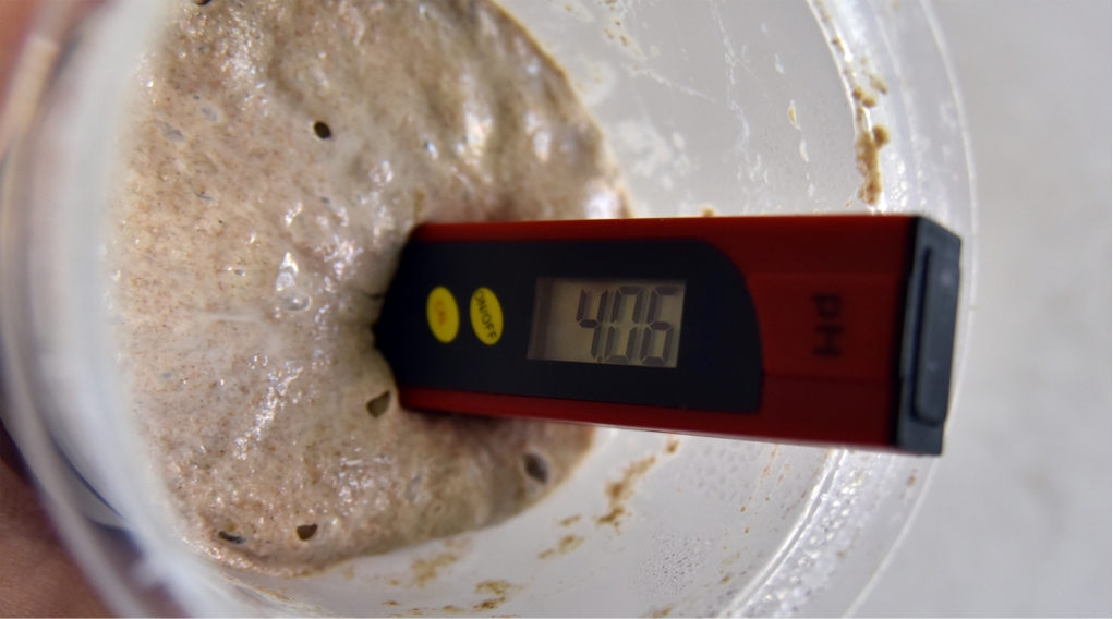 天然鲁邦面种是有氧好还是缺氧好?