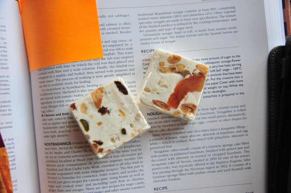 关于牛轧糖Nougat 的初步研究