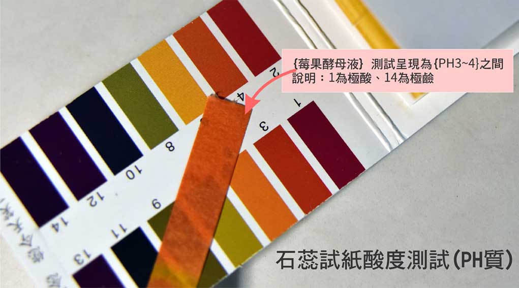 如何培养水果液种？