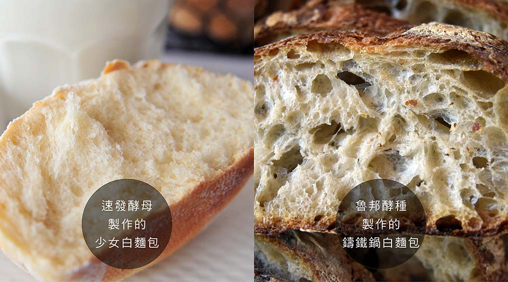 各种酵母使用比例换算对照