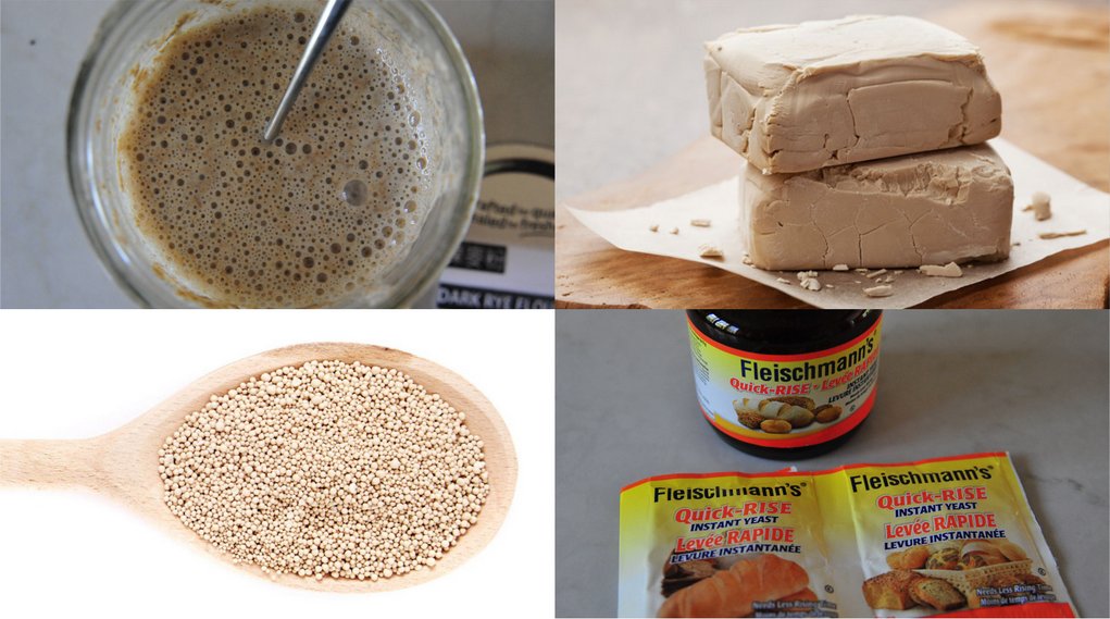 面包制作方法  自学面包关键报告– 在家做面包