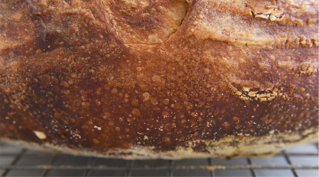 从食物里的气体谈到面包发酵,面包发酵不起来是什么原因?