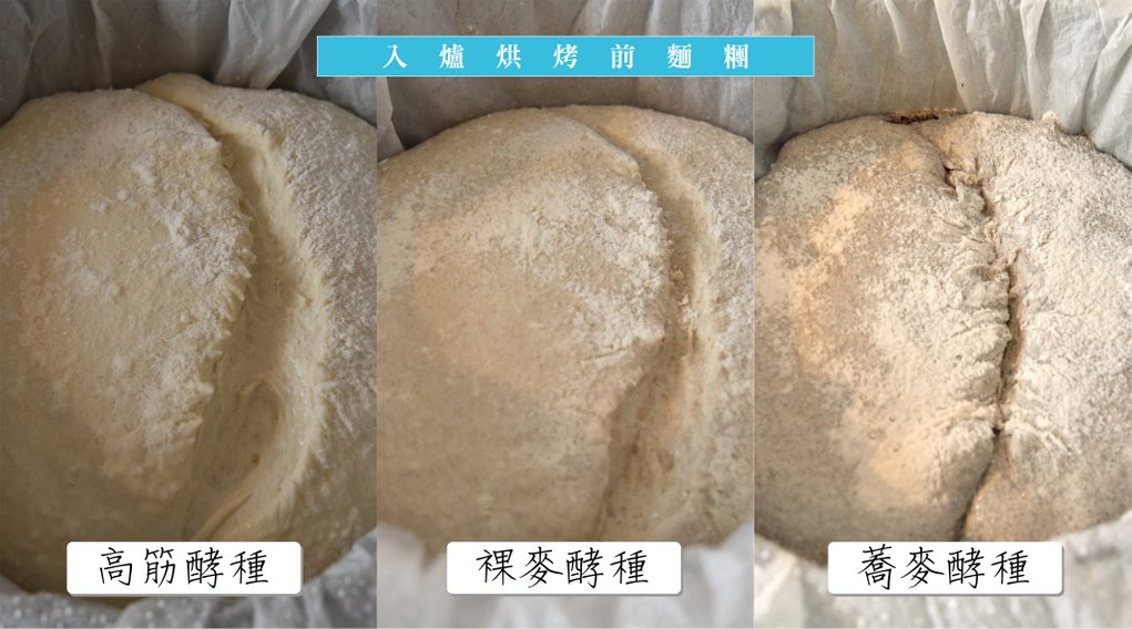 三种酵头(高筋、裸麦、荞麦) 欧式面包质地比较