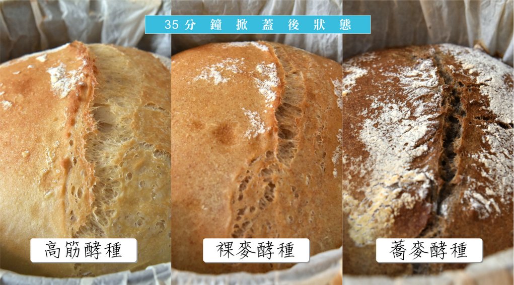 三种酵头(高筋、裸麦、荞麦) 欧式面包质地比较