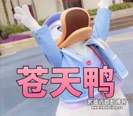 烘焙硅胶模具,烘焙必备的超好用模具套装、小工具看这篇就够了!重点是不仅超好用!