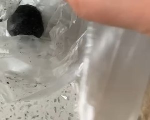 懒人生酮：黑芝麻饼 制作方法