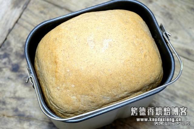 面包机别闲置,一键做出无油低糖健康大面包,坐享其成还被全家夸