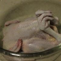 家用微波炉烤鸡的做法？食尚争霸 格兰仕微波炉试用之 奥尔良烤鸡的做法步骤