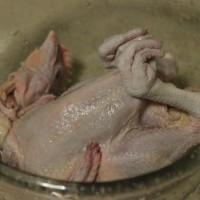 家用微波炉烤鸡的做法？食尚争霸 格兰仕微波炉试用之 奥尔良烤鸡的做法步骤