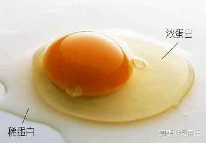打发蛋白完全攻略