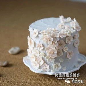 烘焙用什么淡奶油 烘焙必备!17种常用淡奶油/奶油霜调味,让你的蛋糕丰富起来~