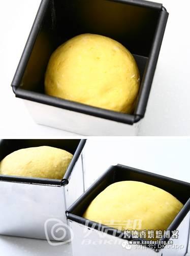 入门新手需知：【面包制作要诀】（附加快手面包配方）