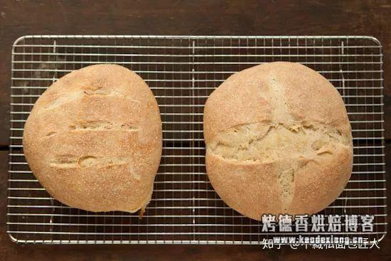 世上竟然有不用出膜、不用酵母的面包?