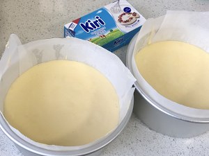 网红好利来半熟芝士(低卡)轻乳酪蛋糕hanjuku cheese 制作方法