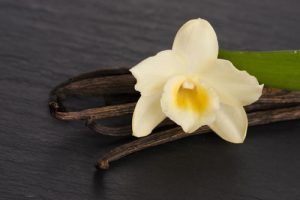 ISTJ型人格女生特质 16型人格测试ISTJ类型